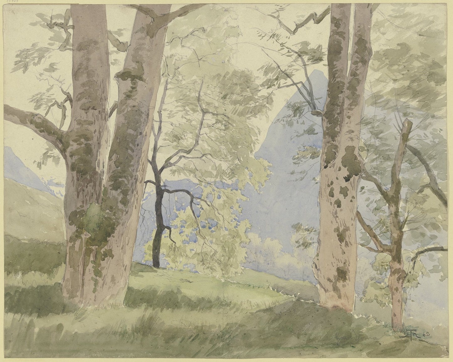 Schwarzwaldlandschaft; Blick vom Waldesrande auf die Berge fine artwork