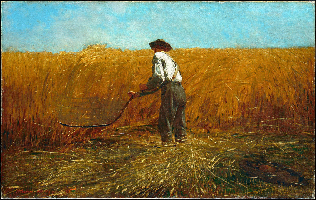 The Veteran in a New Field by Winslow Homer