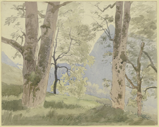 Schwarzwaldlandschaft; Blick vom Waldesrande auf die Berge fine artwork