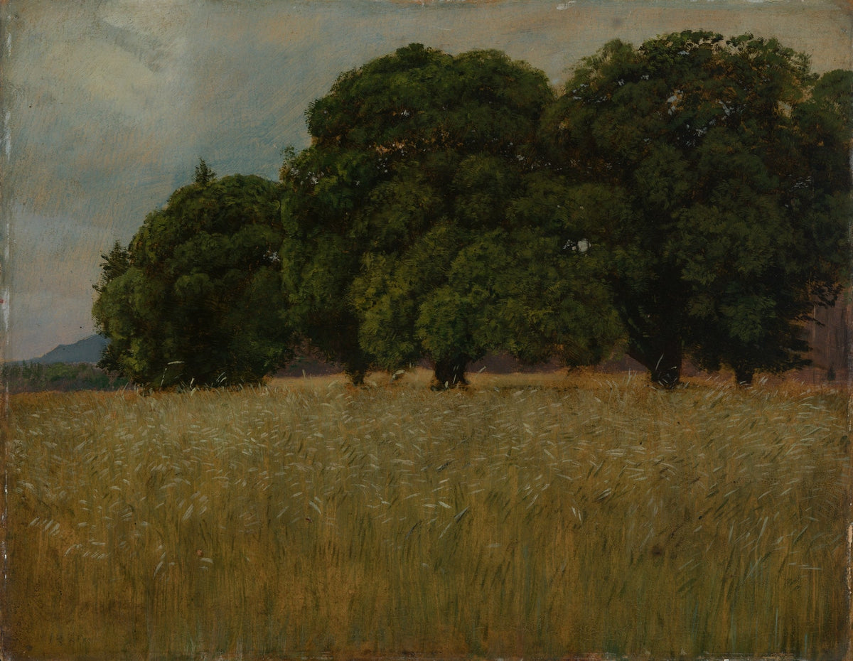 Kornfeld mit Laubbäumen fine artwork