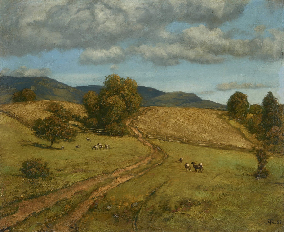 Black forest hights on a cloudy day fine artwork