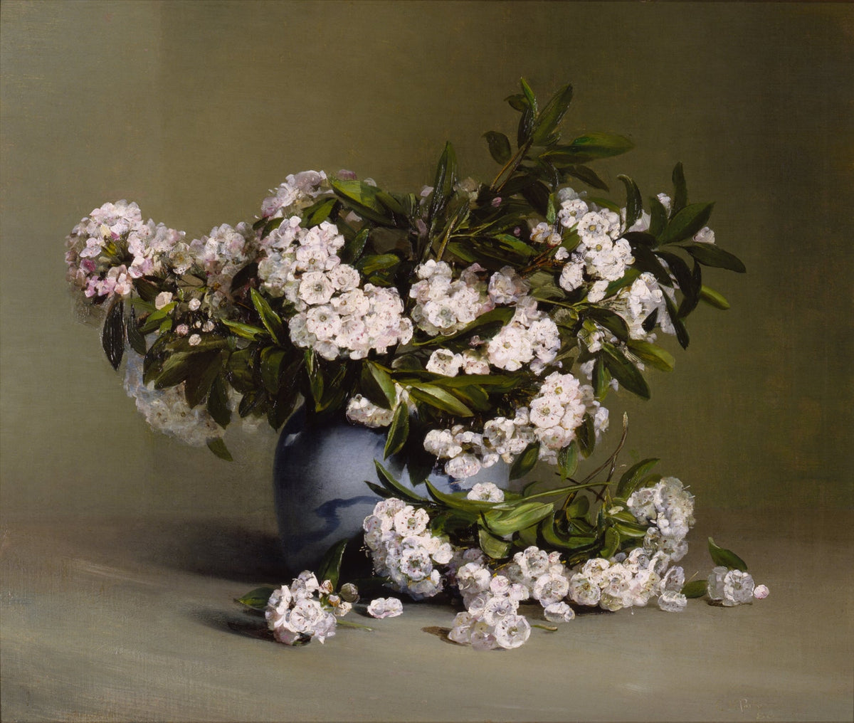 Mountain Laurel fine artwork